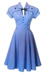 Blue Gingham Swing dress