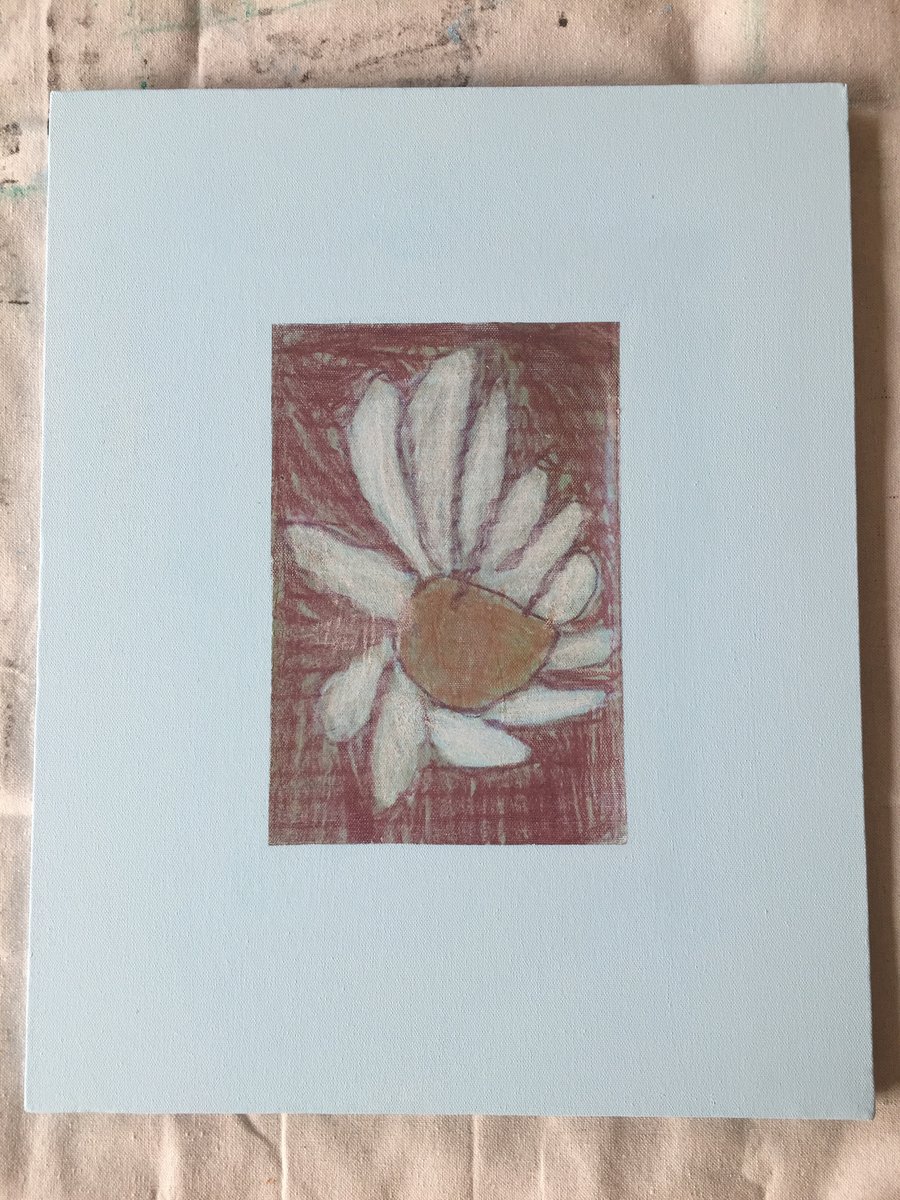 Image of Daisy Sparkle on Canvas