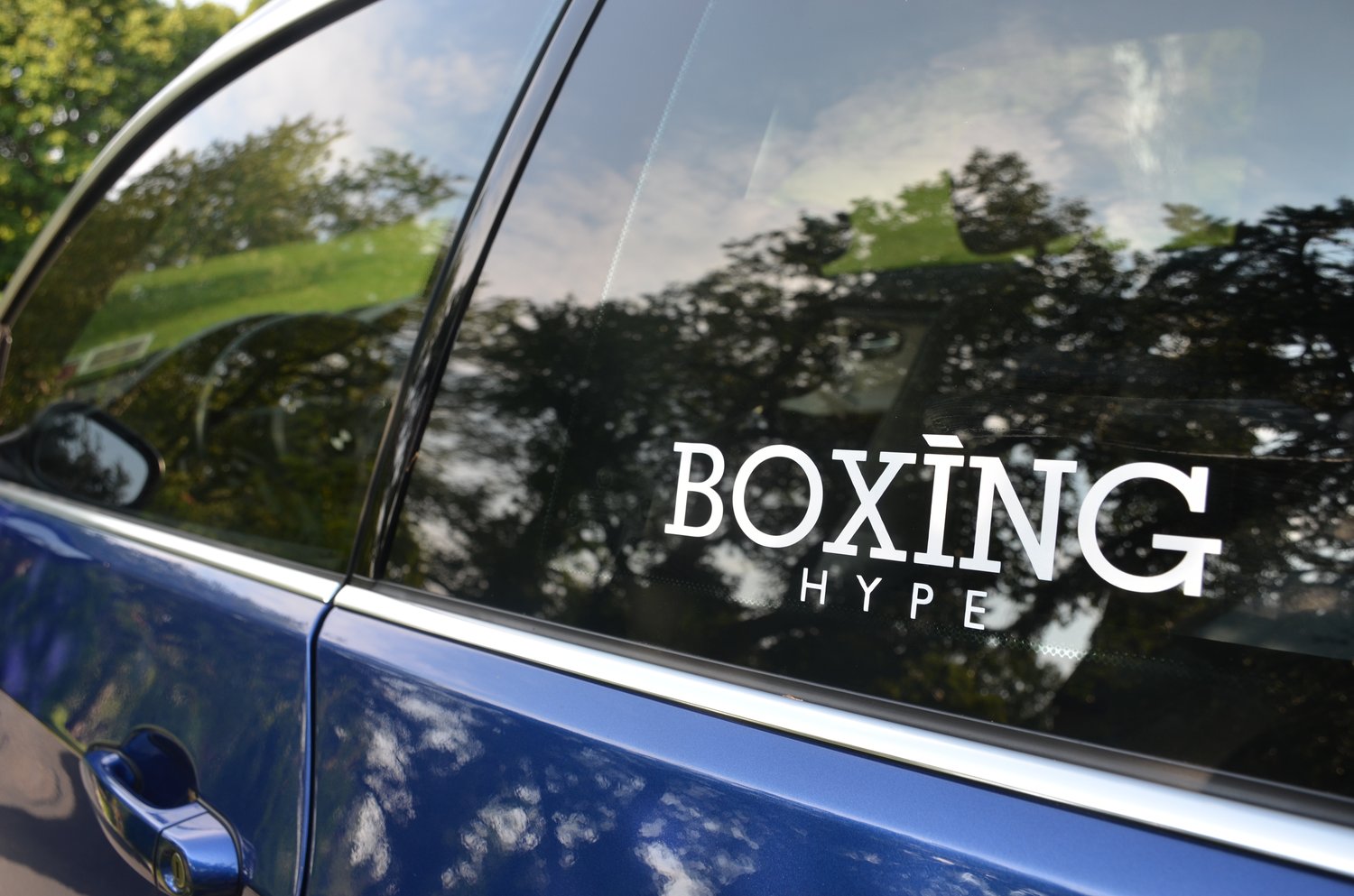 Image of BoxingHype Decals