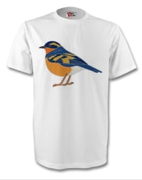 Image 5 of Varied Thrush - No.9 - Bird Pin Group Series