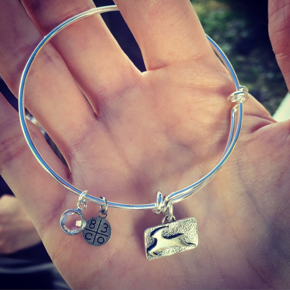 Image of Fancy Antelope