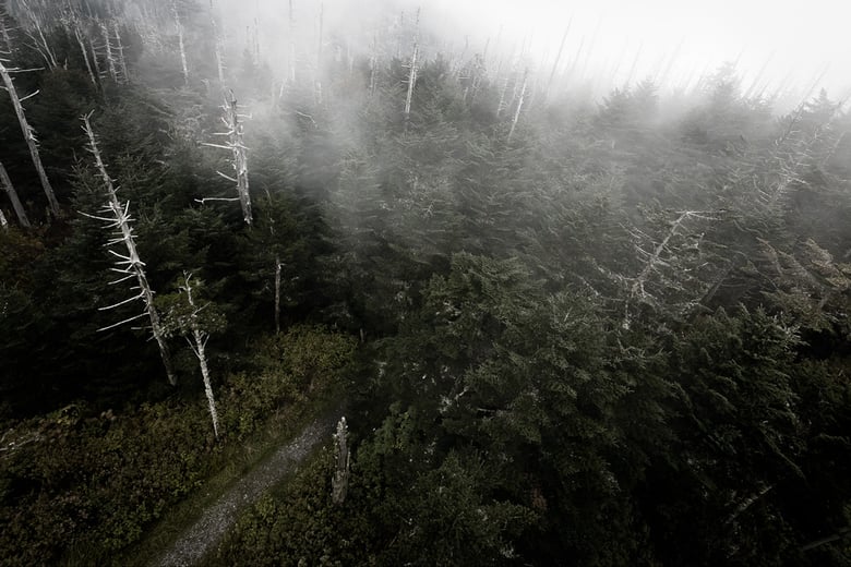 Image of Trail Off into Nothing