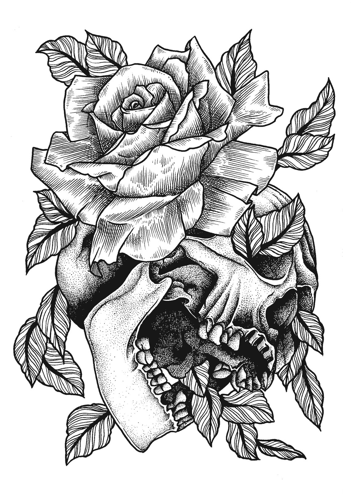 Skull & Rose / Devon Lee Art