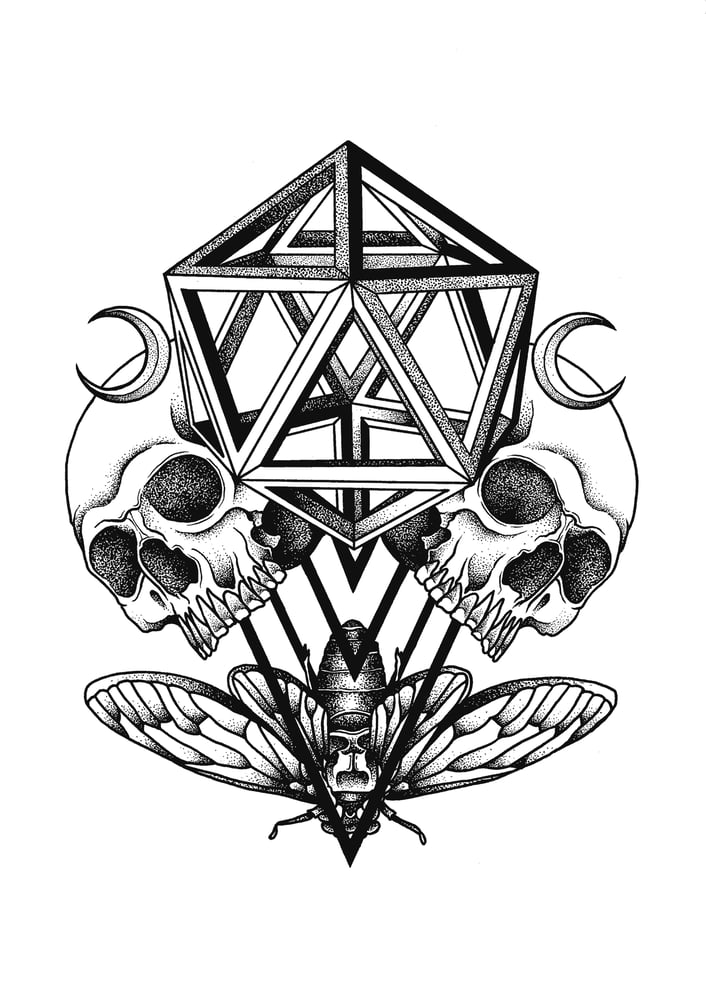 Image of Skull & Cicada