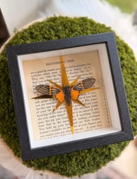 Image 2 of Golden Cicada 