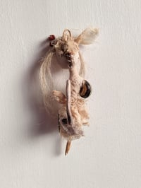 Image 3 of Yellow Eye, a Forest Spirit 