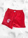 Red Paisley Galaxy Shorts