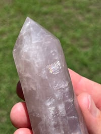 Image 4 of DT Rose Quartz #2404