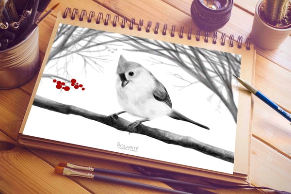 Image of Polarité para el #winterproyectlife #ayudaanepal