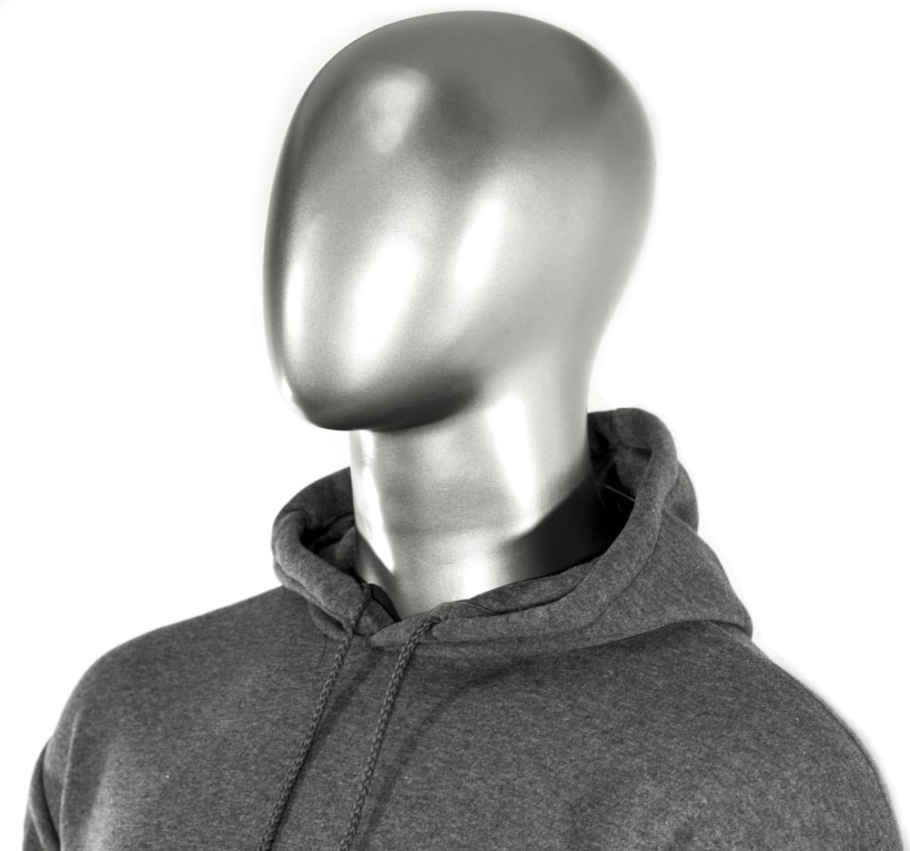 Image of HG PNW Hooded Pullover