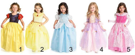 Image of DELUXE PRINCESS COSTUME