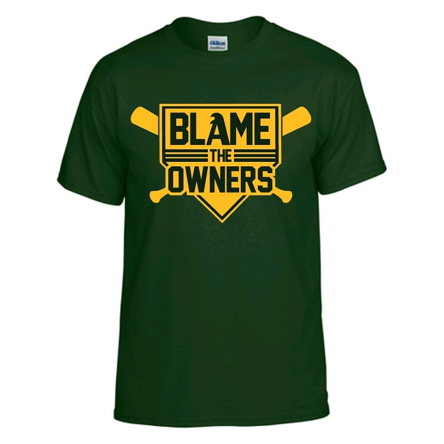 Image of BLAME the OWNERS