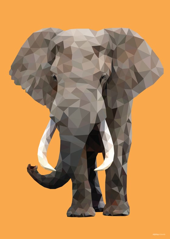 Image of Safari Animal Designs