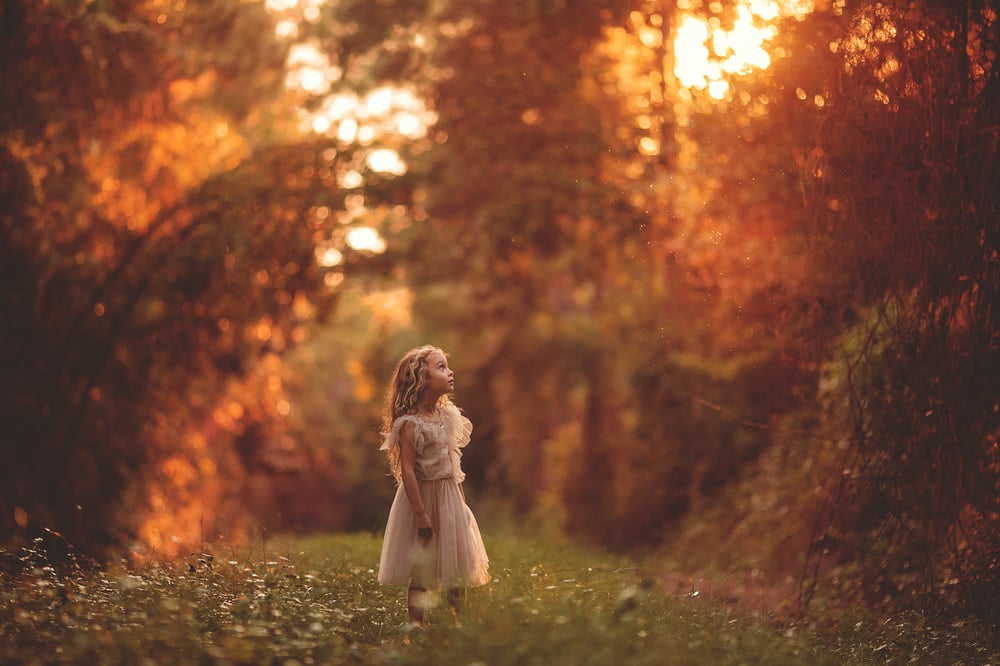 Image of The Fall Collection | Pumpkin Spice & Everything Nice