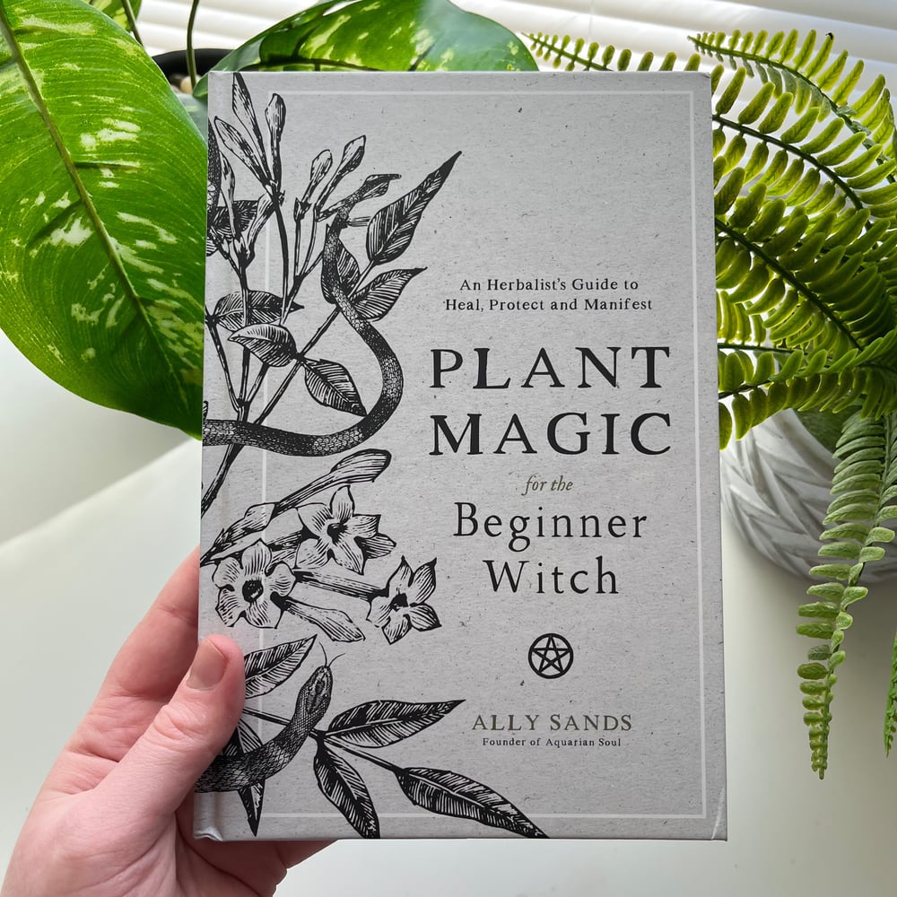 Plant Magic for the Beginner Witch