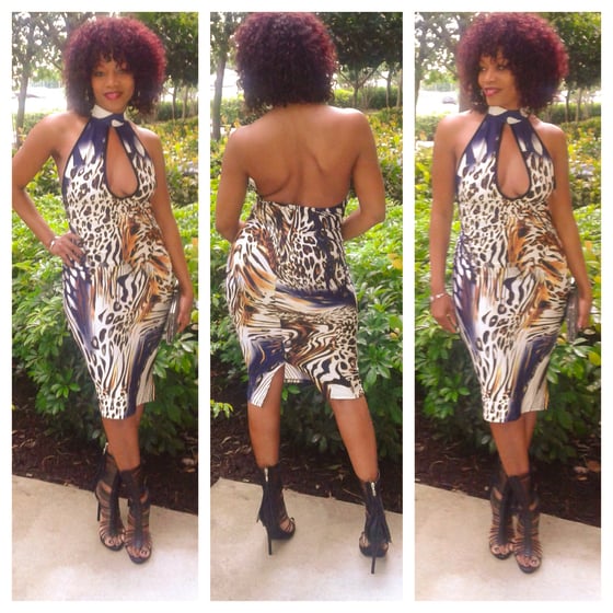 Image of Wild Animal