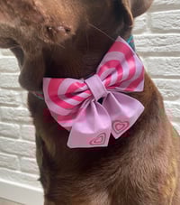 Image 5 of Hypnotic Love, Bow Ties / Sailor Bows