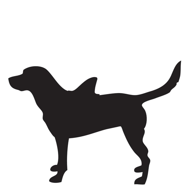 Image of Dog Shark Fin - Large Size Dog