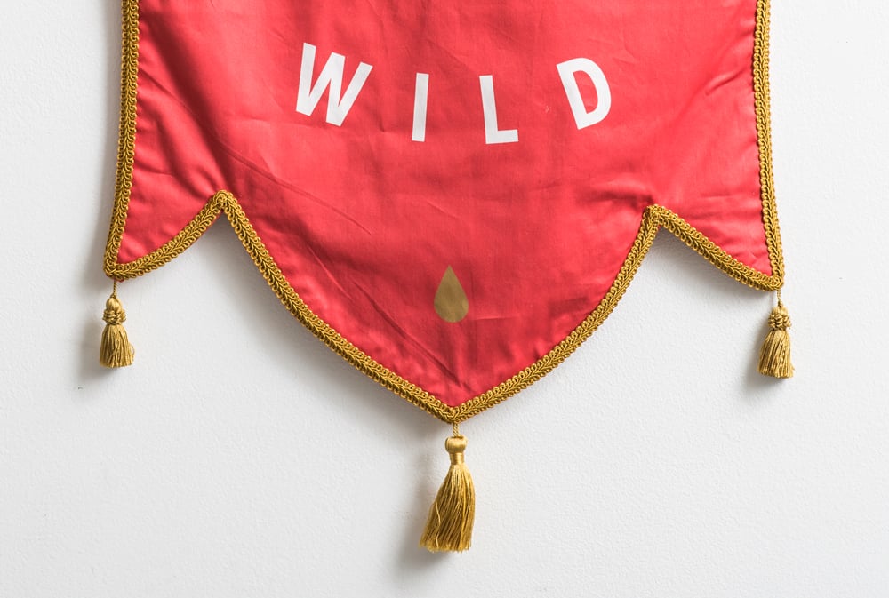 Image of Stay Wild