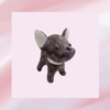 Brown dog