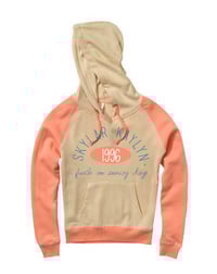 Snowy Days Hoodie