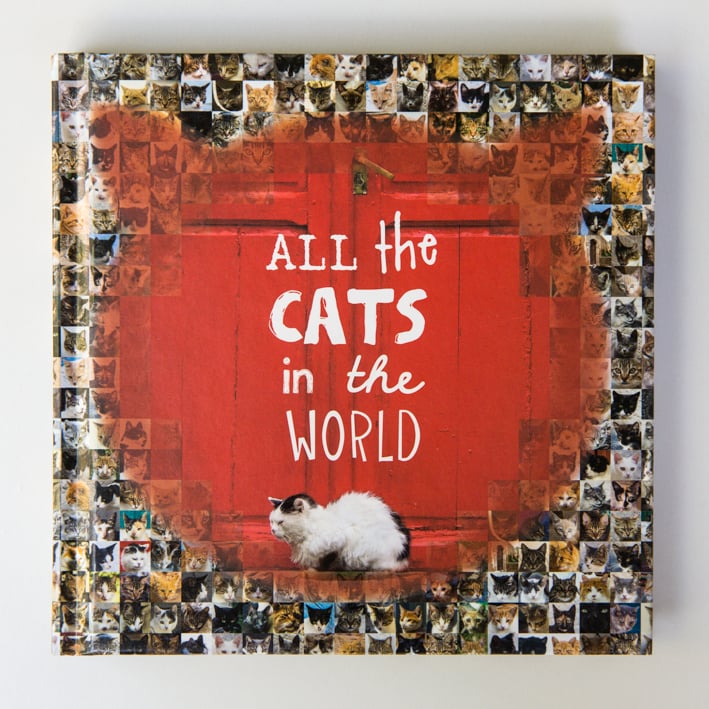 Image of All the Cats in the World (Signed by Jesse Hunter)