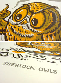 Image 3 of Sherlock Owls