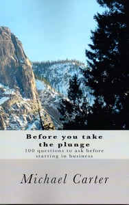 Image of Before you take the plunge (2015)