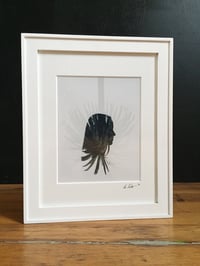 Image 2 of California girls -