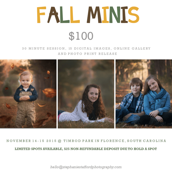 Image of FALL MINI SESSIONS | TIMROD PARK: FLORENCE, SC