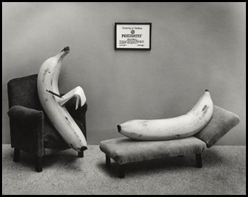 Image of Going Bananas
