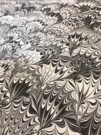 Image 3 of Marbled Paper #36 'Black on White Peacock'