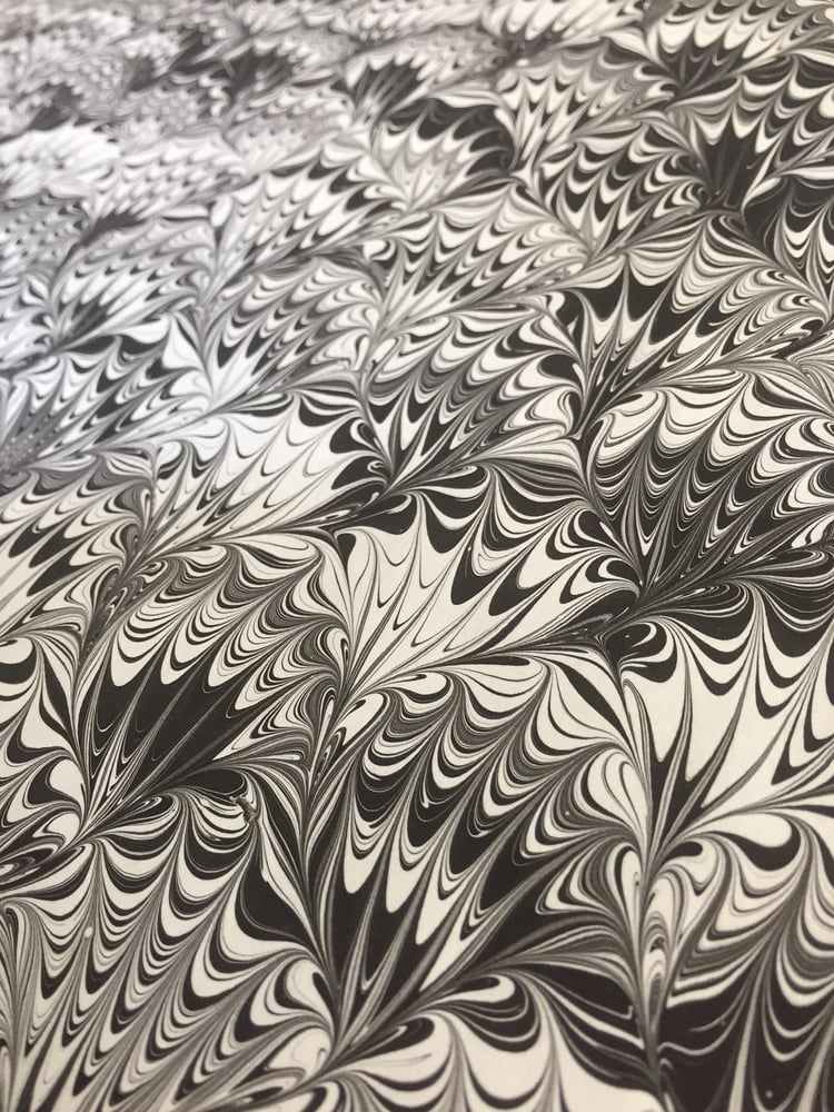 Image of Marbled Paper #36 'Black on White Peacock'