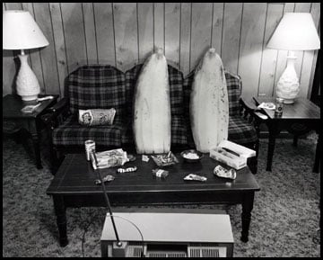 Image of Couch Bananas