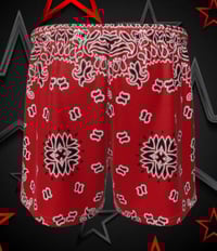 Image 4 of The Bandanna Collection 
