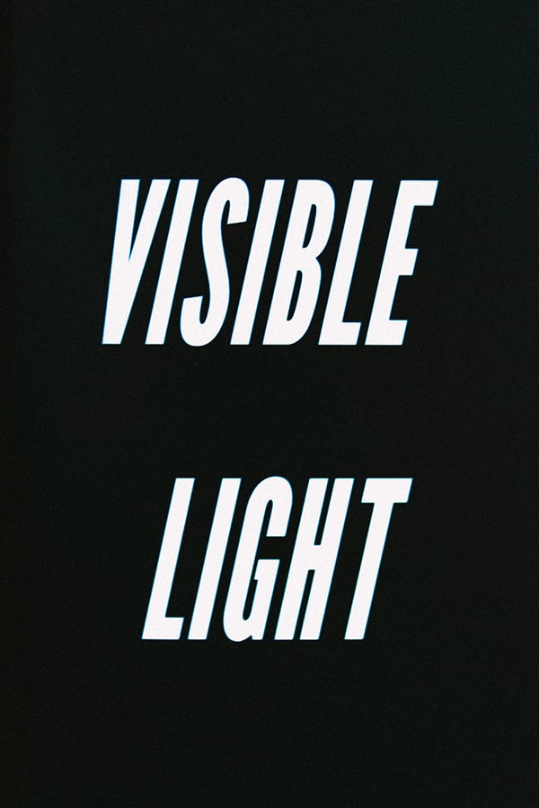 Image of Visible Light book by Brian Vu