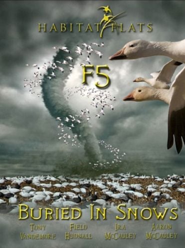 Image of F5: Buried in Snows DVD
