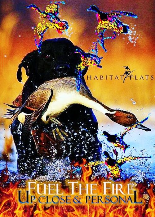 Image of Fuel the Fire 3-pack