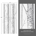 Birch Forest Wallpaper - peel and stick