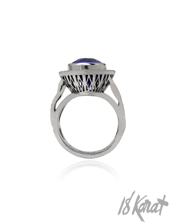 Eva's Tanzanite Ring - 18Karat Studio+Gallery