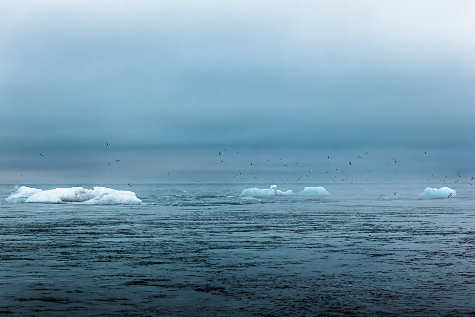 Image of Under the Iron sea