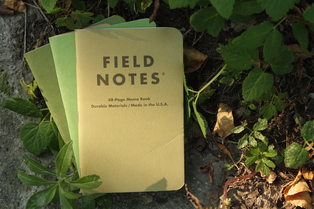 Image of Field Notes - Shenandoah