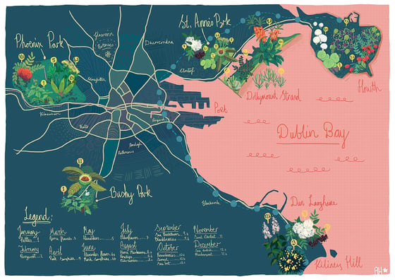 Image of Dublin Foraging Map