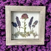 Plum Chrysanthemum, Veronica, Lavender And Catmint Wildflowers In 6" X 6" Shadow Box (Item# 202206S)