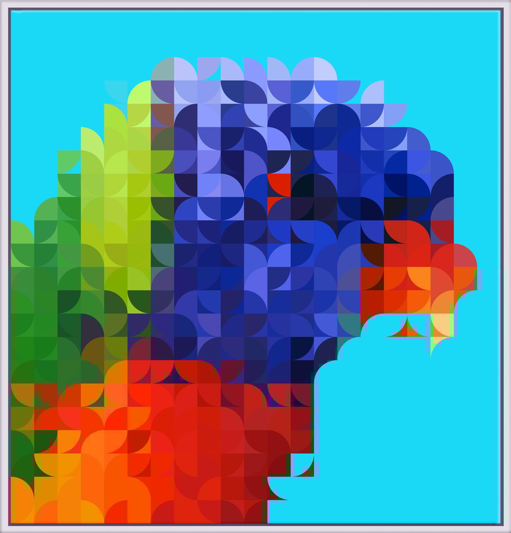 Image of Squint Abstract Print Rosella