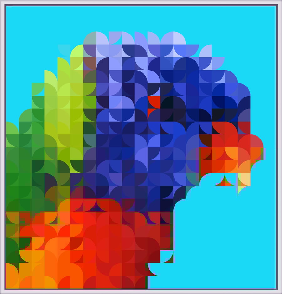 Image of Squint Abstract Print Rosella