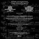 Image 2 of The Joker Is Wild