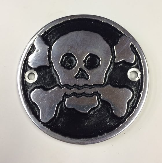 Image of The Skull Points Cover