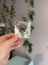 rock on raccoon