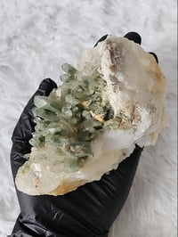 Image 6 of Mineral Specimen - The Pitbull Picks 